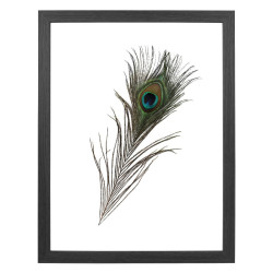 Fotolijst Transparant Grijs 30x40 cm