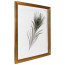 Fotolijst Transparant Goud 40x60 cm